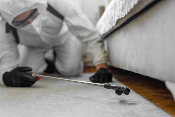 Professional Ant Control technician working in Sanilac County County, MI